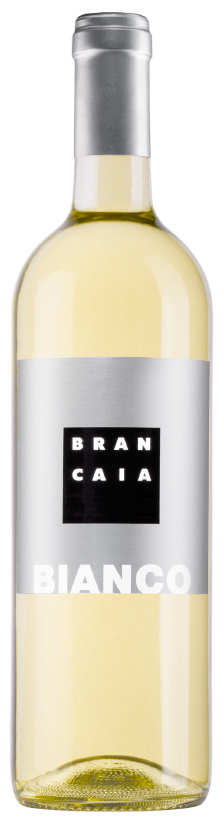 etichetta vino fronte