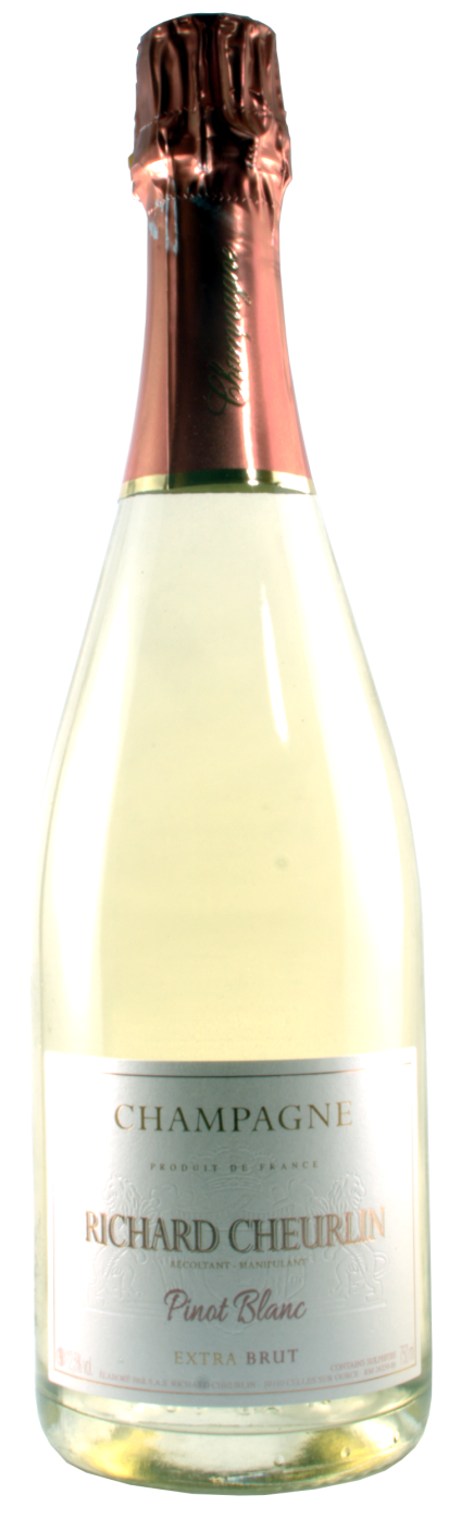 etichetta vino fronte