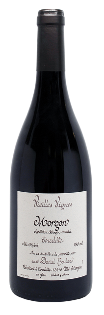 etichetta vino fronte
