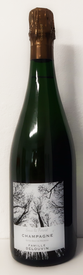 etichetta vino fronte