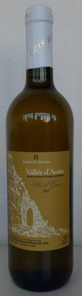 etichetta vino fronte