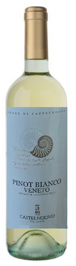Pinot Bianco Veneto IGT Terre di Castelnuovo del Garda