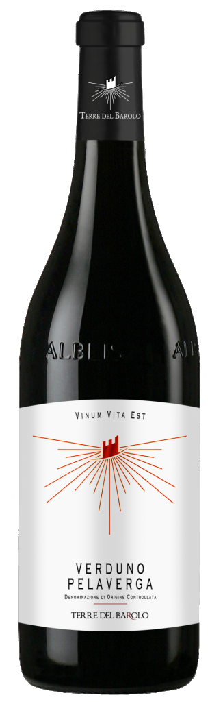 etichetta vino fronte
