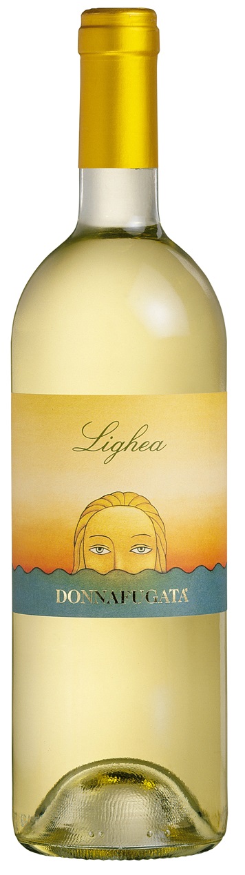 etichetta vino fronte