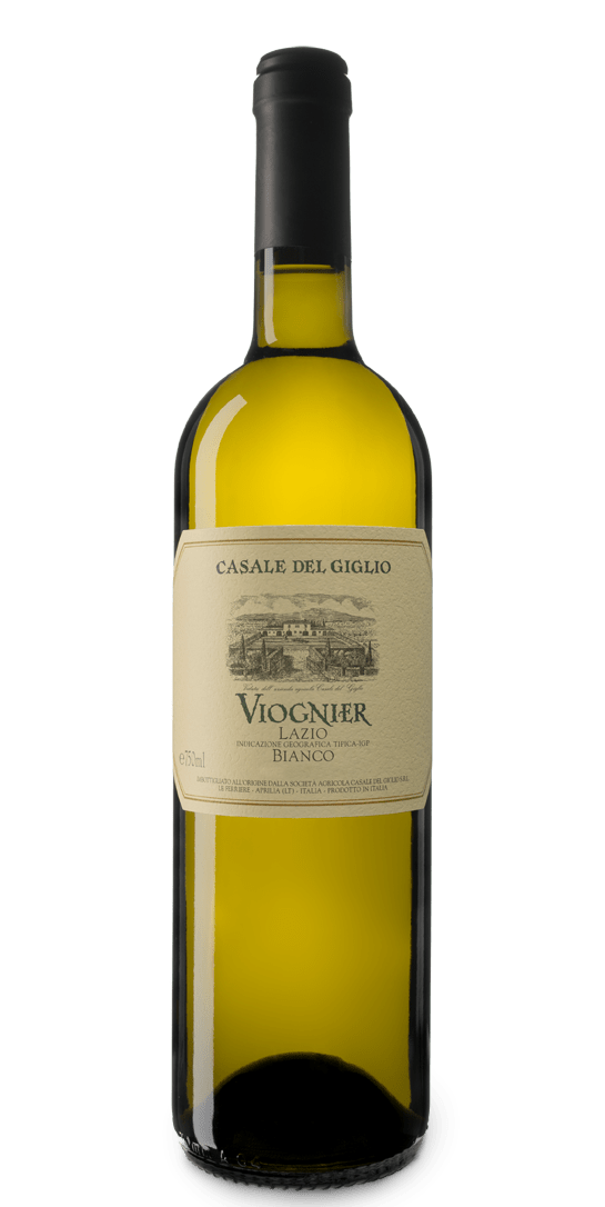 etichetta vino fronte
