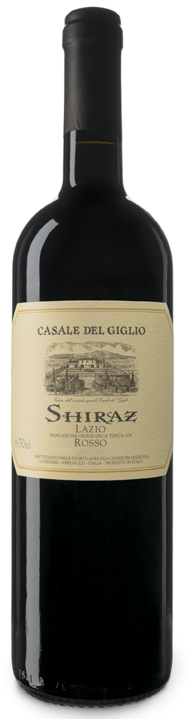 etichetta vino fronte
