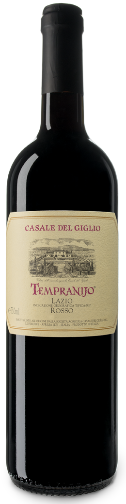 etichetta vino fronte