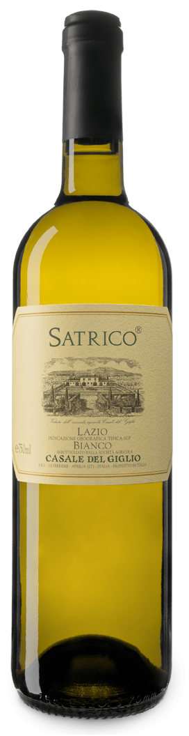 etichetta vino fronte
