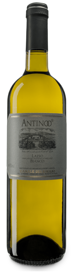 etichetta vino fronte