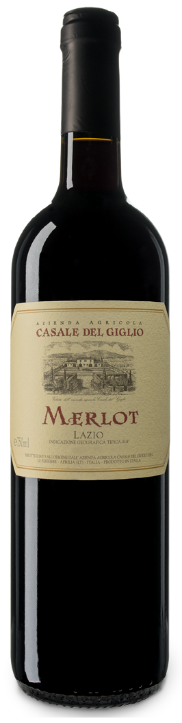 etichetta vino fronte