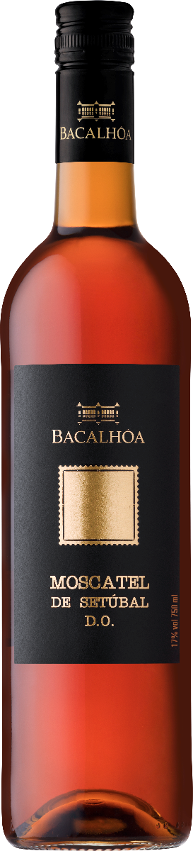 etichetta vino fronte
