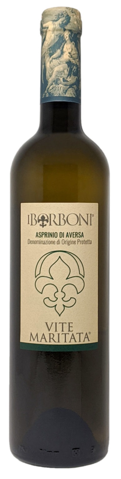 Asprinio di Aversa DOP Vite Maritata I Borboni