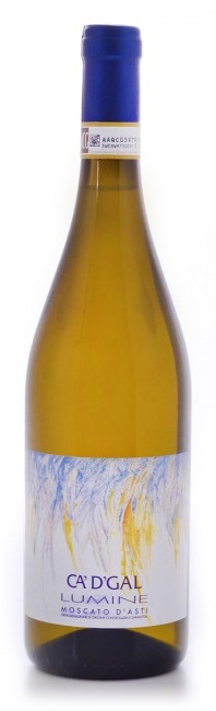 etichetta vino fronte