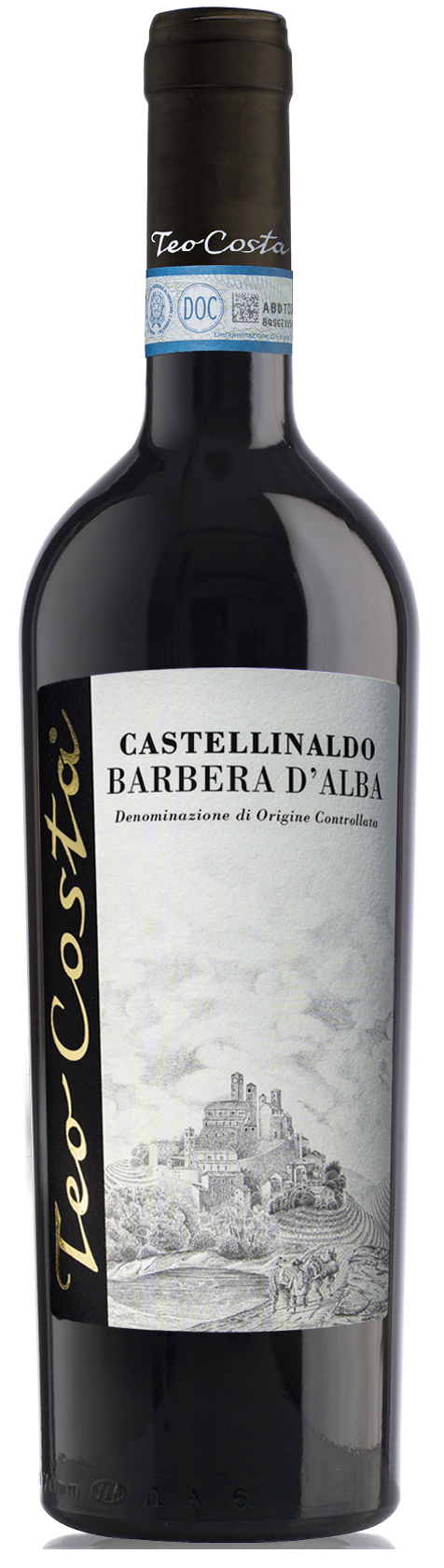 Castellinaldo Barbera d'Alba DOC Teo Costa