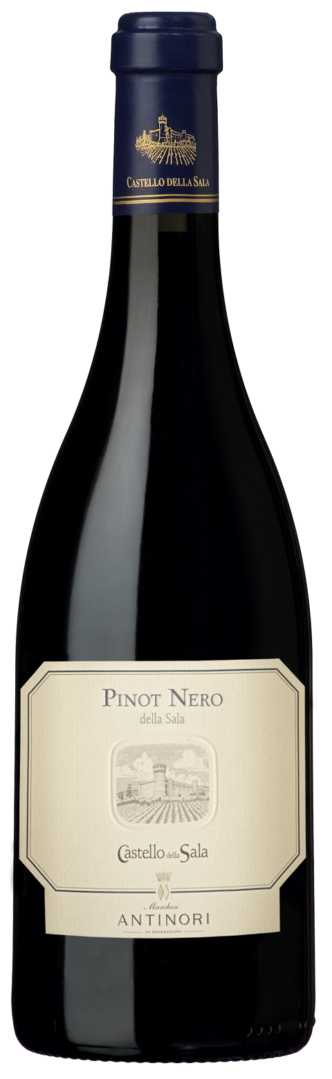 Pinot nero della Sala Umbria IGT Castello della Sala