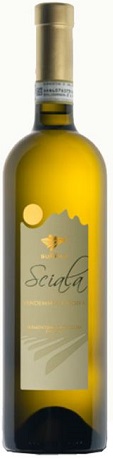 Sciala Vermentino di Gallura DOCG Surrau